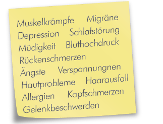 zettel